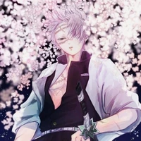 Shinazugawa Sanemi