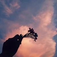 Nhân Vật Phụ/Bí Ẩn