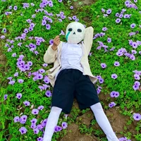 alpha sans
