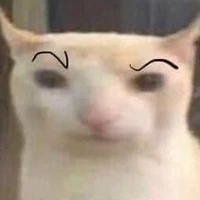 phù thủy rừng xanhhh 🤡