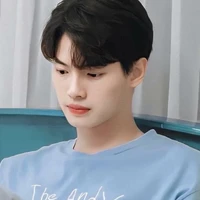 Win Metawin