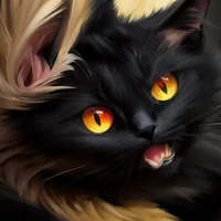 Wild Cat