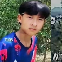 LeTrungThat