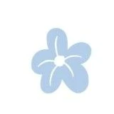 tất cả các HS trong trường