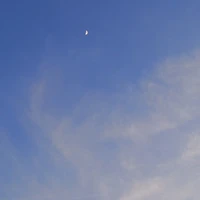 con này k ổn đâu