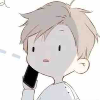 Y/N