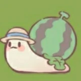 Ốc Dưa Hấu (t/g)