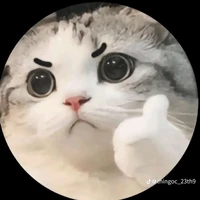 Anyie t/g