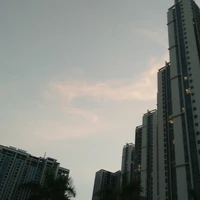 Lớp 11C