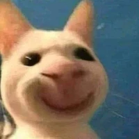 hai con ngáo cún:)