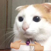 cô giáo ko có liêm sĩ