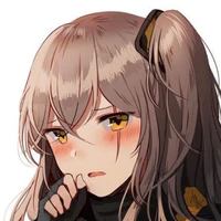 Y/N