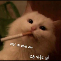 Tác giả siêu ngầu:)