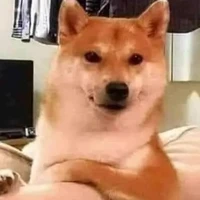cớm