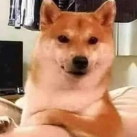 cớm