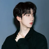 Hạ Tuấn Lâm (luật sư)