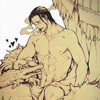 Crocodile