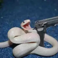 T/G