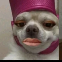 ✨Tác Giả [Trầm Tính Gơr]❄️