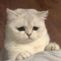 con tác giả yêu đời~