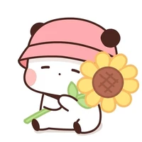 T/g gấu trúc ？？？