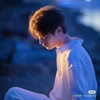 Trần Việt Anh