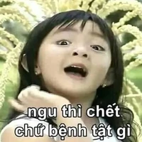 NVP(nữ)
