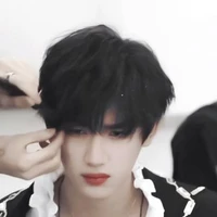 Đinh Trình Hâm