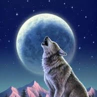 sói đại ka 🐺