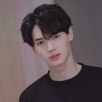 Metawin