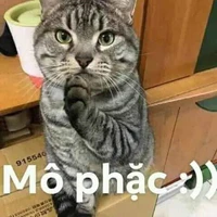 kon tác giả