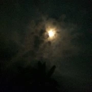 Người nào đó