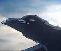 Quạ của Tomioka ( hình minh hoạ có j ko đúng cho tớ xl )