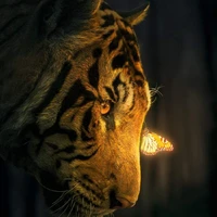 hổ ( pet)