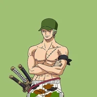 Zoro - bn thân của luffy