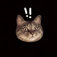 Au hok chinh géi :)