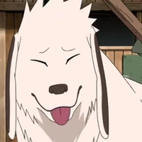 Akamaru