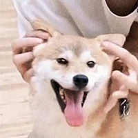 Hô An