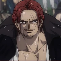 Shanks