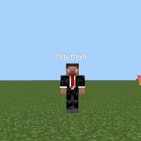 thầy miya