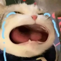 nhỏ tác giả mê trai