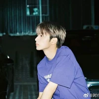 Lưu Diệu Văn (Anh)