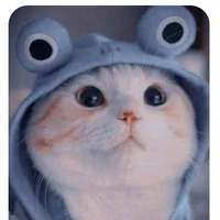 Hira _t/g_HT chủ