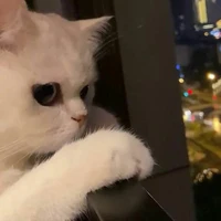 All (- Ai thì bt roii)