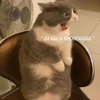 con tác giả báo