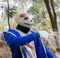 Mix sans