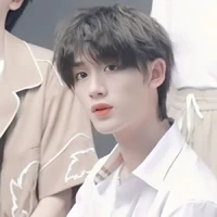 Đinh Trình Hâm