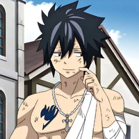 Gray Fullbuster