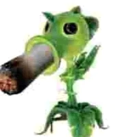 nhỏ tác giả