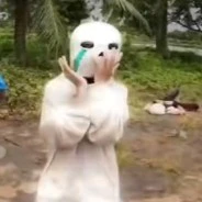 alpha
